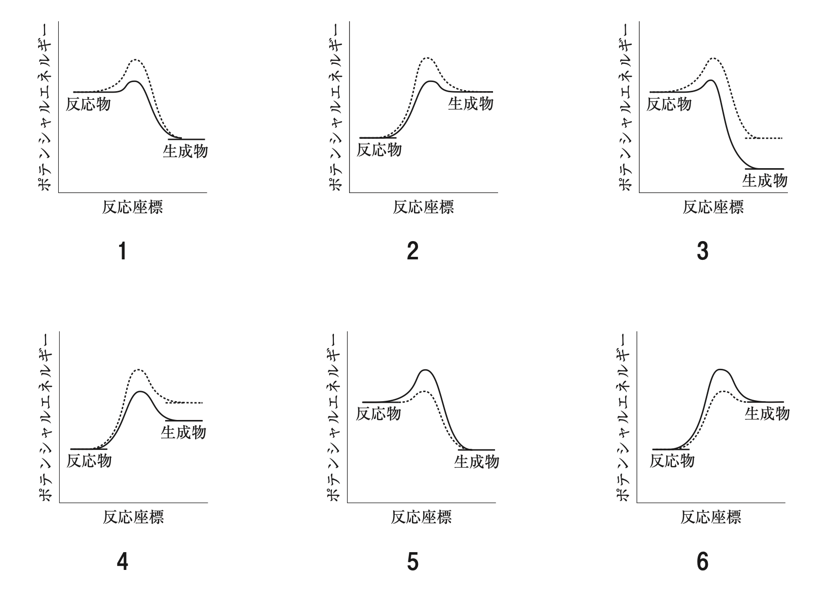 解説画像